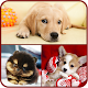 Download Cute Dogs Wallpapers For PC Windows and Mac 1.0.0