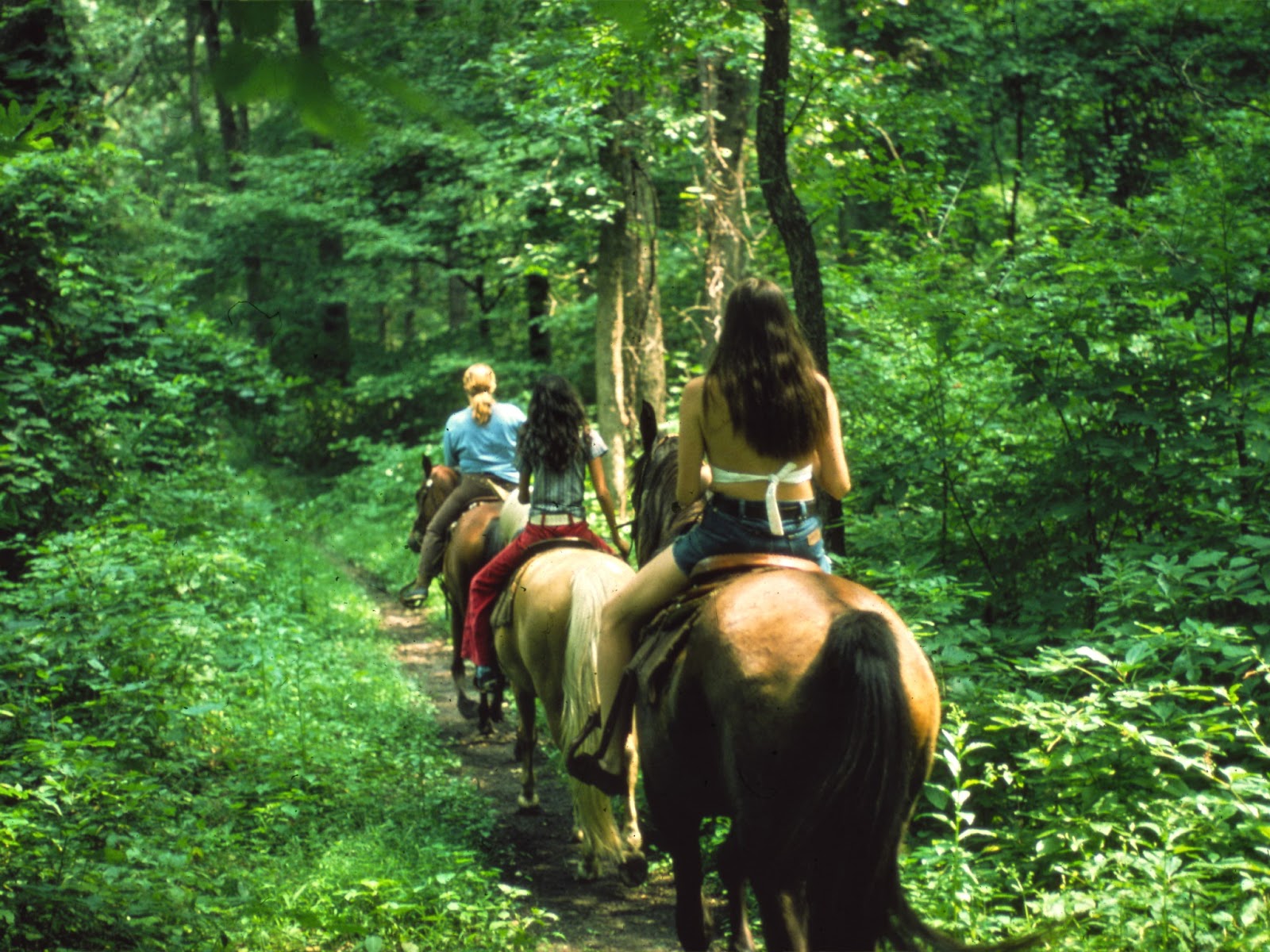 Horseback riding tours