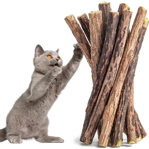 Catnip Stick Pet Cat Molar All Natural Self-healing Toys Wooden Polygonum Cleaning Teeth Relieve Boredom Snacks Chews Su