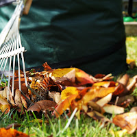 E' arrivato l'autunno! di 