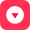 Vion icon