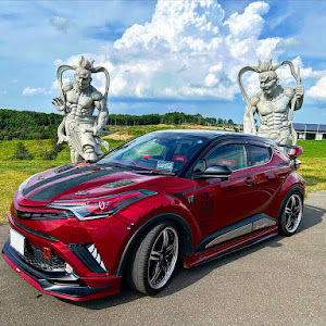 C-HR NGX50