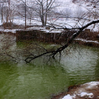 Verso l'acqua. di 