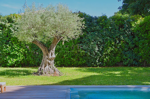 House with pool 2