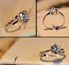 miniatures image - 1