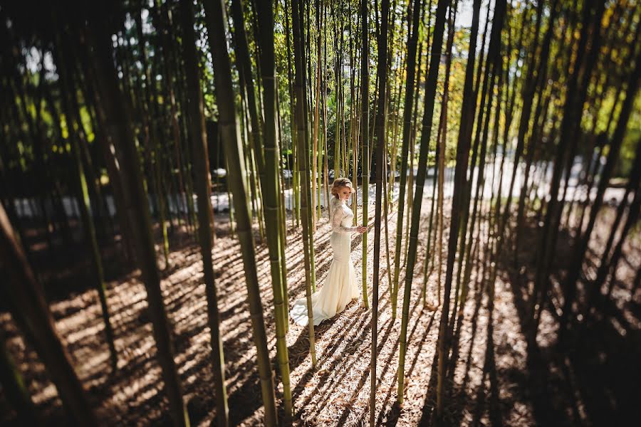 Fotografo di matrimoni Dmitriy Palyunin (monitor). Foto del 31 gennaio 2018