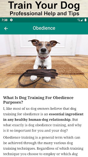 Dog Training, Whistle, Clicker and Sounds