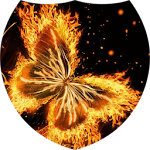 Magic butterfly live wallpaper Apk