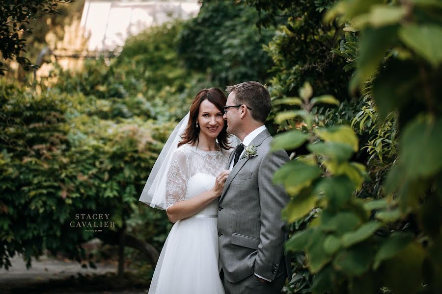 Wedding photographer Stacey Cavalier (staceycavalier). Photo of 23 July 2018