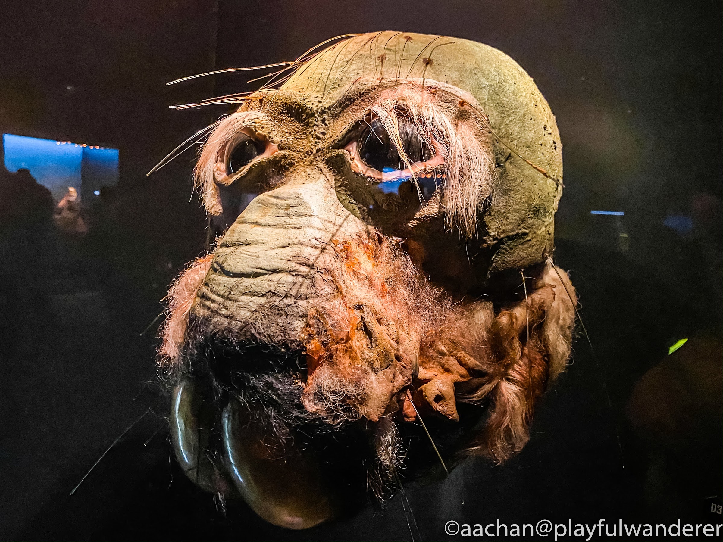 Star Wars Identities The Exhibition良かったよ 道中見聞録