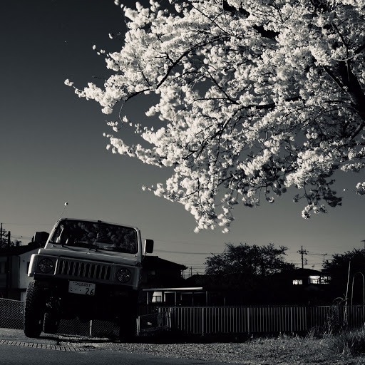 ジムニー の電気系トラブル 夜桜 イラストに関するカスタム メンテナンスの投稿画像 車のカスタム情報はcartune