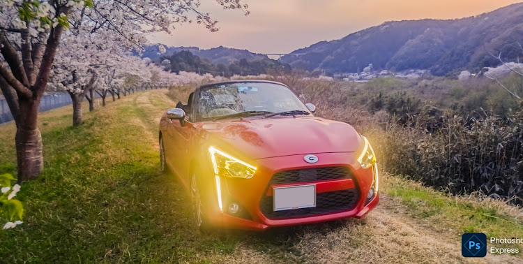 コペンの桜と愛車・桜シーズン開幕・4月もよろしくお願い致します🌸・サクラと愛車に関するカスタム事例の投稿画像2枚目