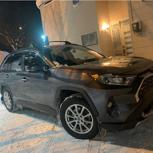 RAV4