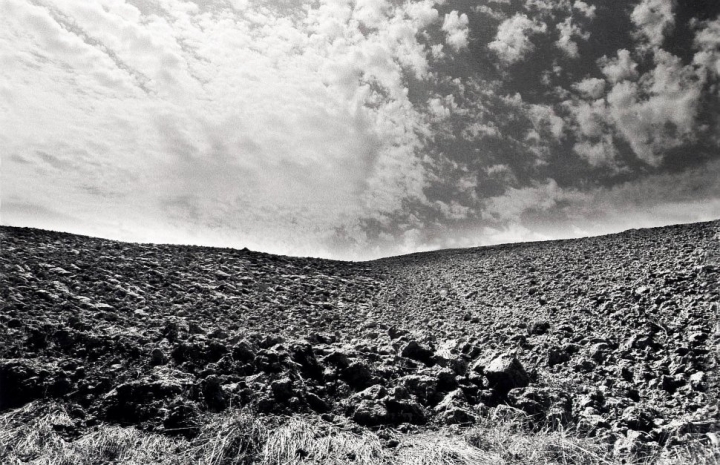 L'odore della terra di Paolo Zanoni