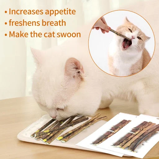 Cat Molar Stick Natural Catnip Teeth Cleaning Toothpaste Silvervine Cat Snack Stick Self Healing Kitten Chew Toy Pet Acc