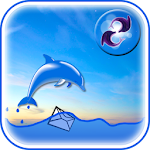 Dolphin Live Widget Apk