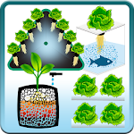 Hydroponic Tech - Técnicas Hidropónicas Apk