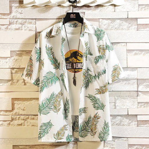 C538 tropical wind