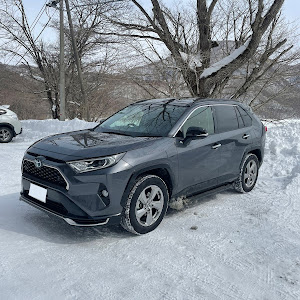 RAV4 AXAH54