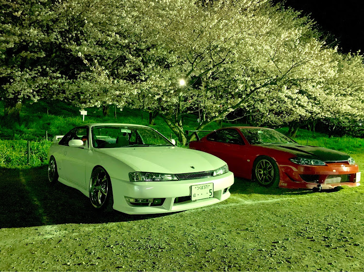シルビアのドライブ・SR20DET・桜に関するカスタム事例の投稿画像1枚目