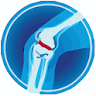 Knee Pain - Physical Therapy E icon