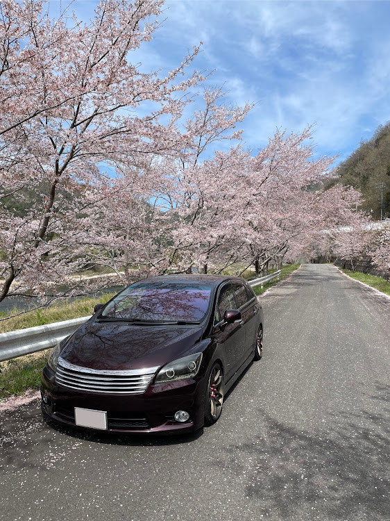 マークXジオの2023ベストショット4月に関するカスタム事例の投稿画像1枚目
