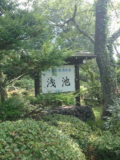 富士山天然湧水池　浅池