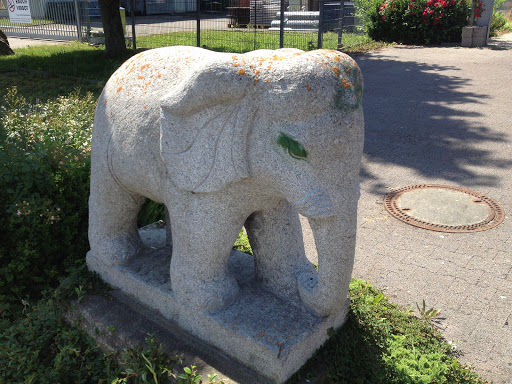 Kleiner Elefant 