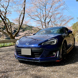 BRZ ZC6