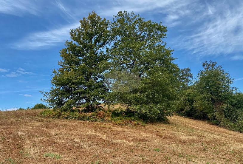  Vente Terrain à bâtir - à Monléon-Magnoac (65670) 