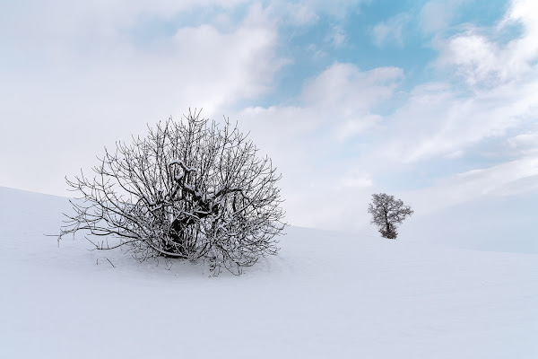 Solitari nella neve di renzodid