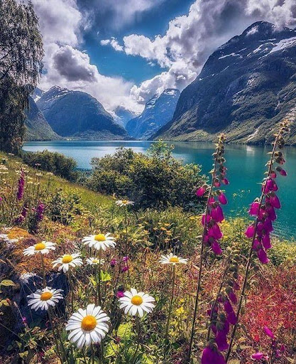 Love Flowers Images GIF