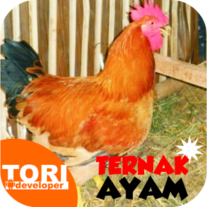 Ternak Ayam Jawa Super.apk 1.2.0
