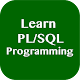 Download Learn PLSQL Programming For PC Windows and Mac 1.0