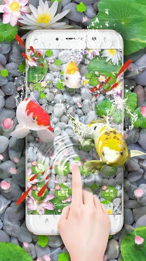 Lively Koi Fish 3D Theme