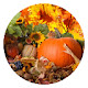 Thanksgiving HD Wallpaper New Tab - Qtab