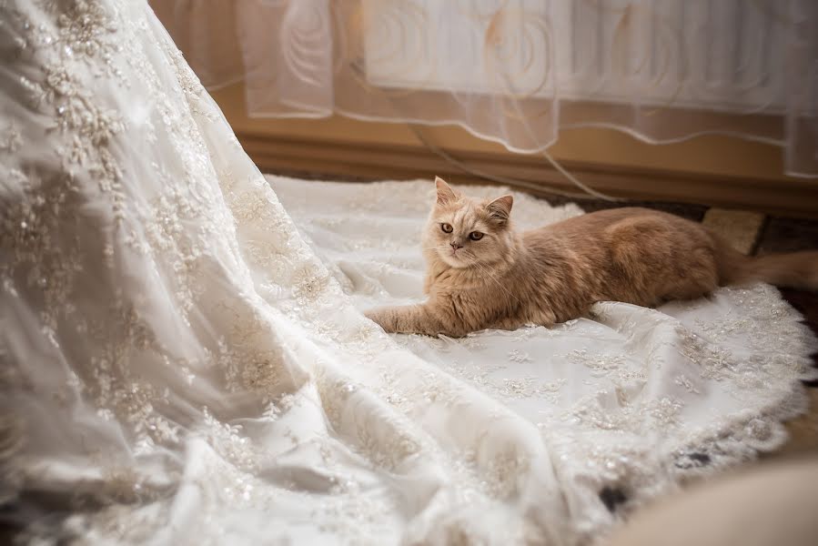 Wedding photographer Dmitriy Shpak (dimak). Photo of 27 July 2014