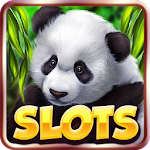 Cover Image of ดาวน์โหลด Slot Machine: Free Panda Slots 1.2 APK