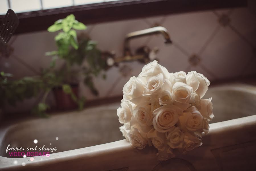 Fotografo di matrimoni Israel Diaz (video-boda). Foto del 10 ottobre 2017