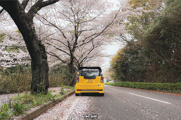N-WGNのJH1・Nワゴン・桜に関するカスタム事例の投稿画像1枚目