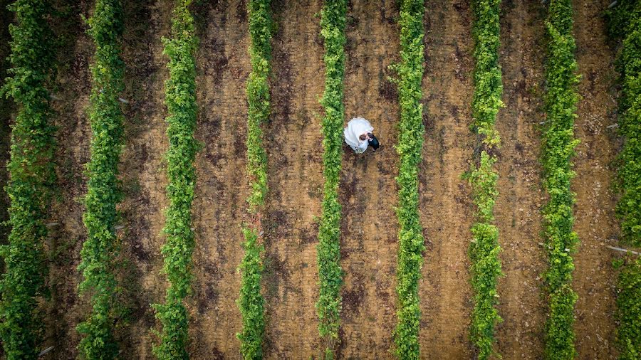 Fotógrafo de bodas Alberto Canale (albertocanale). Foto del 16 de noviembre 2019