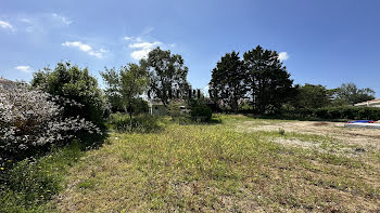 terrain à Vaux-sur-Mer (17)