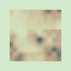 High Tide #5