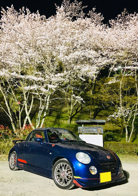 コペンのL880K・夜桜コラボ・ライトアップ・満開🌸・花見ドライブ🌸に関するカスタム事例の投稿画像10枚目