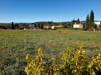 maison neuve à Puisserguier (34)