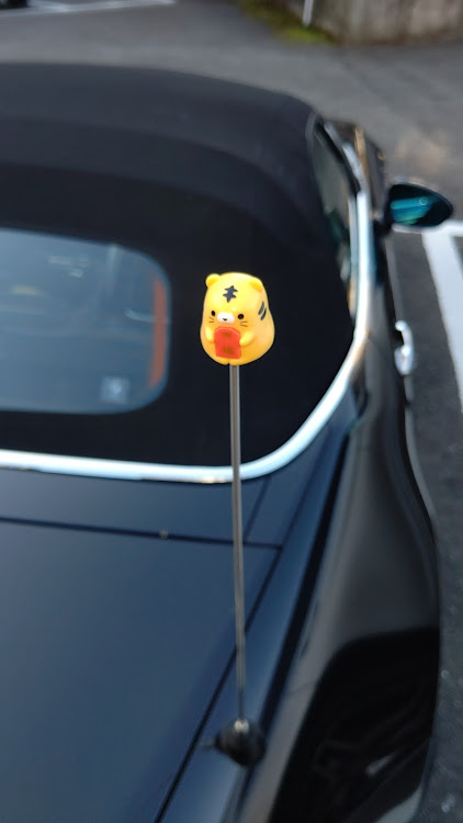ロードスターのNDロードスター・ニャンニャンニャンの日・洗車に関するカスタム事例の投稿画像6枚目