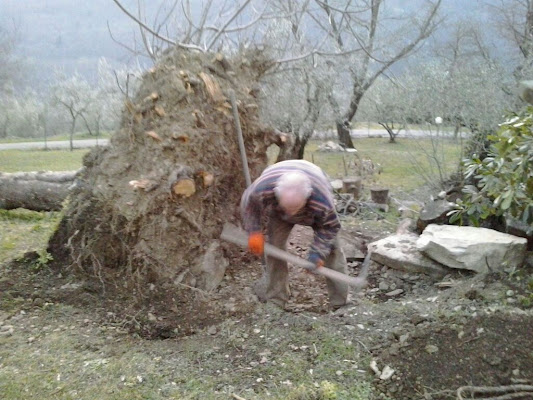 Lavori in gamberame  di lauri_barto89