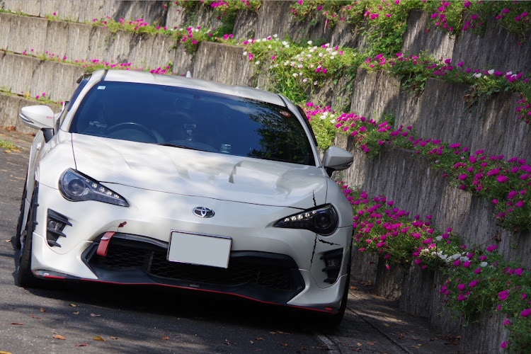 86のカメ活・愛車撮影・お花とコラボ・ピックアップチャレンジ・スイスイカイの前にに関するカスタム事例の投稿画像1枚目