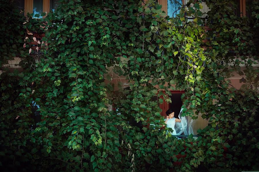 Fotógrafo de bodas Svetlana Leto (svetaleto). Foto del 15 de septiembre 2015