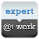 Expert at Work icon